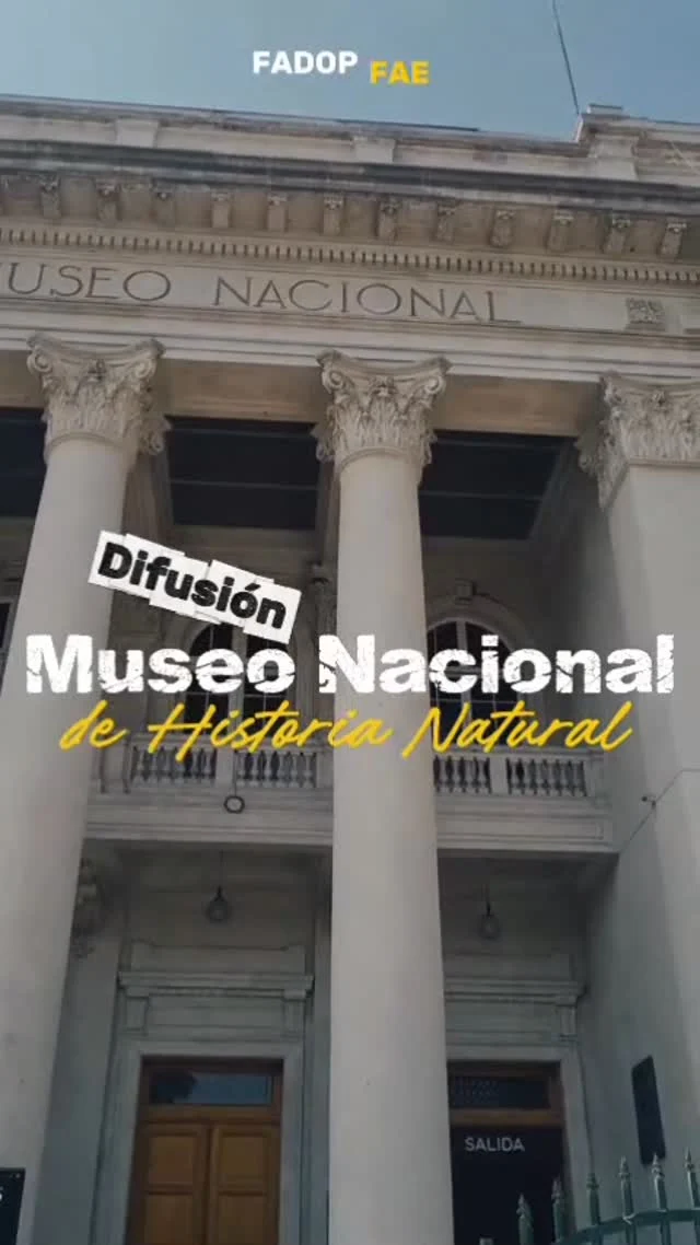 Los días 23 de enero y 6 de febrero estuvimos en el Museo Nacional de Historia Natural, realizando dos jornadas de difusión del Programa FAE Fadop.
Conversamos con familias y les compartimos información sobre qué significa ser Familia de Acogida y sobre el proceso para transformarse en una de ellas. Fue un espacio muy valioso de encuentro, reflexión y sensibilización.
Agradecemos profundamente la excelente recepción y el interés de todas las personas que se acercaron a conocer más sobre nuestra labor ❤️
Seguimos trabajando para que más niños y niñas puedan crecer en un entorno familiar seguro y protector.
Si quieres saber más sobre cómo convertirte en Familia de Acogida, escríbenos ✉️ cvidal@fadop.cl